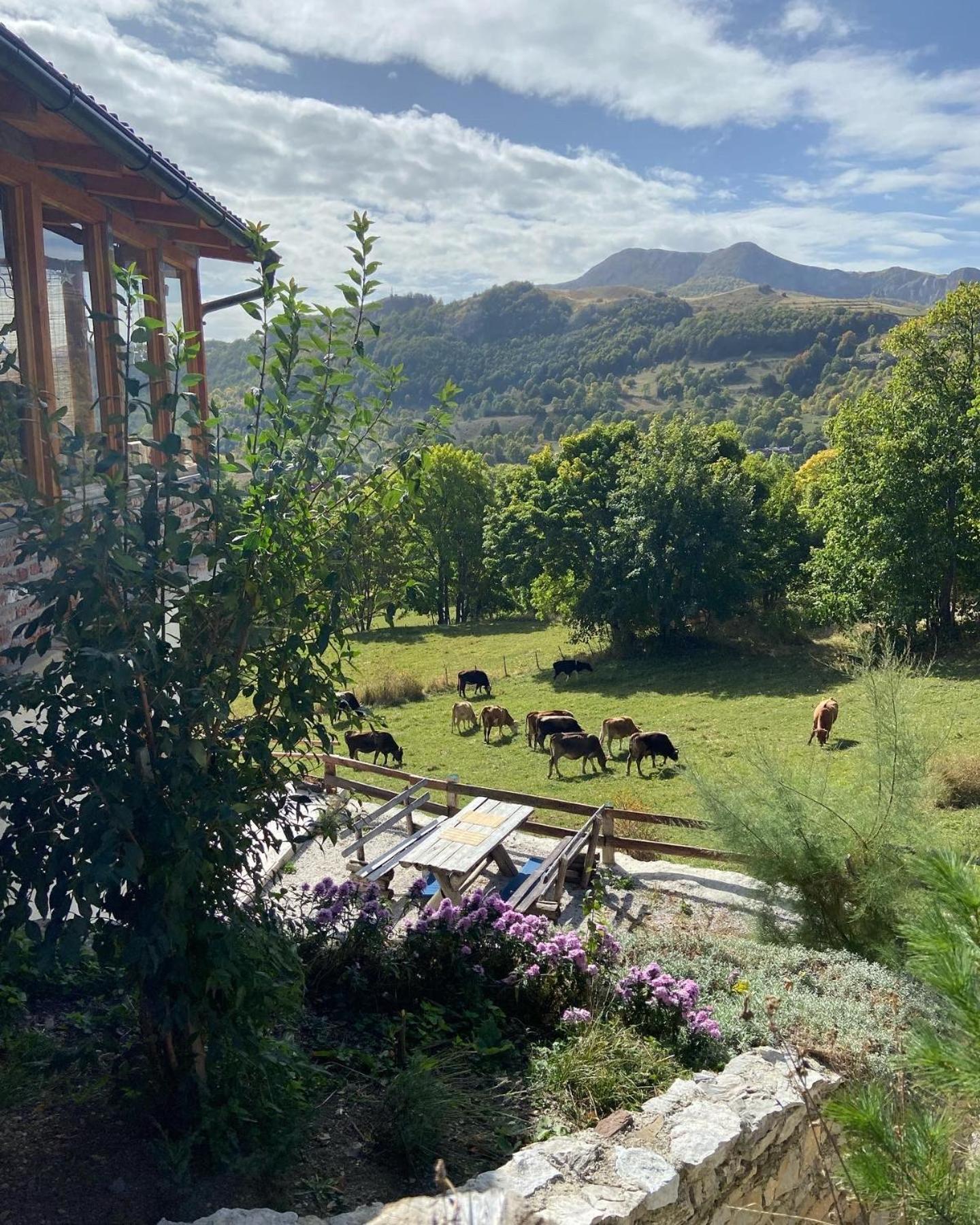 Konak Umoljani Exteriör bild