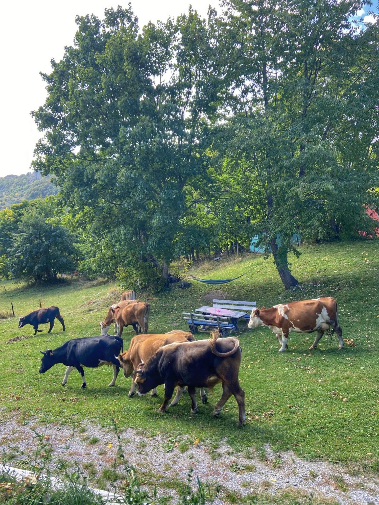 Konak Umoljani Exteriör bild