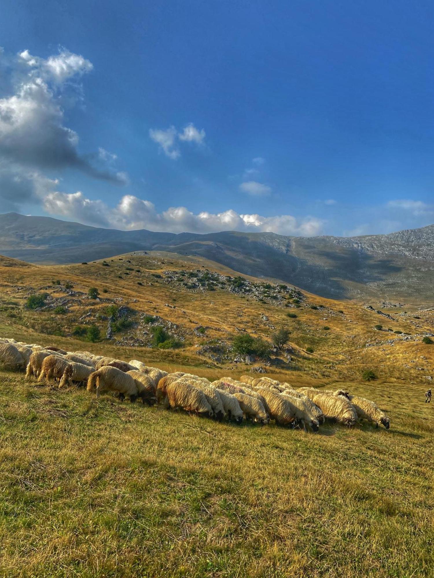 Konak Umoljani Exteriör bild